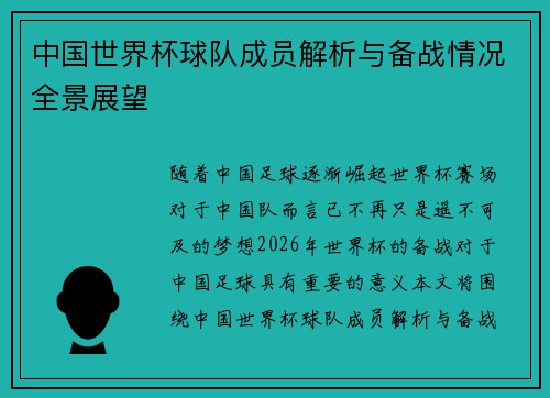 中国世界杯球队成员解析与备战情况全景展望